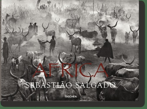 Mia couto sebastião salgado - sebastião,