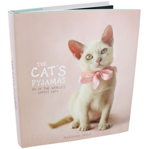 Cat pyjamas 101 adorable - cat's,