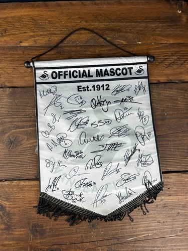 Swansea city official - city,