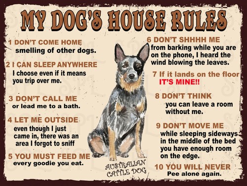 Dog house rules barbet - dog's,