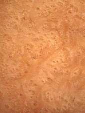 Madrona Root Wood Veneer Burl