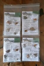 Fossil  Dinosaur Pack REAL