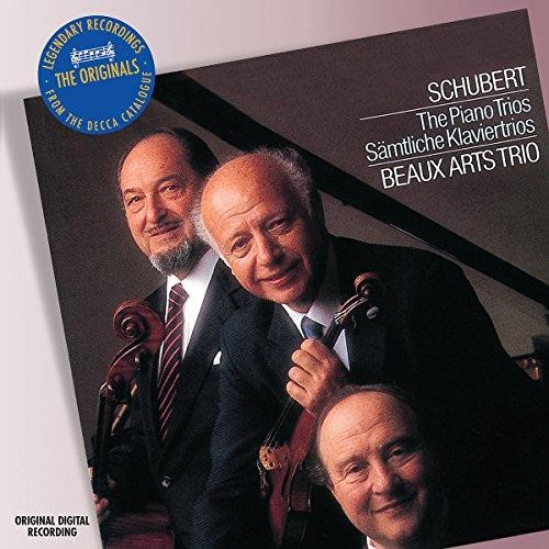 Schubert the piano - piano,