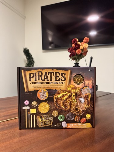 Pirates treasure chest dig kit - dig,