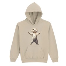 Fluffy Maltese Dog Animals