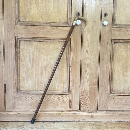 Antique walking stick - walking, cane