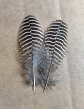 Fly tying / Native crafts /