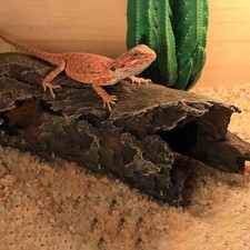 Reptile log hideaway for - reptile,