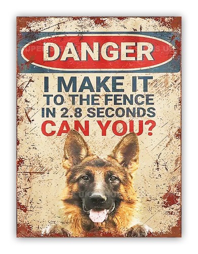 Funny german shepherd dog - funny,