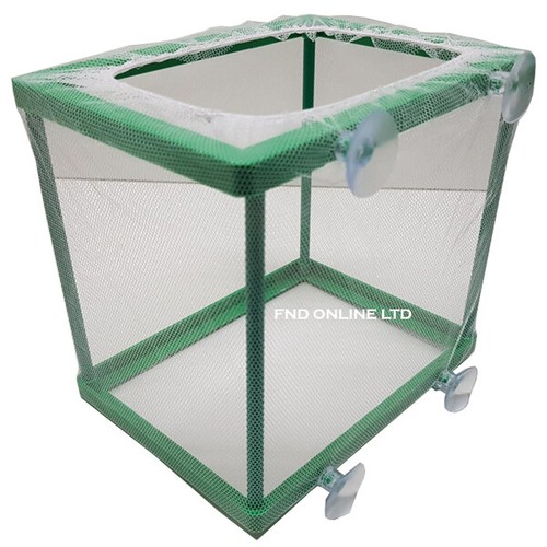 Aquarium fish hatchery tank - ,