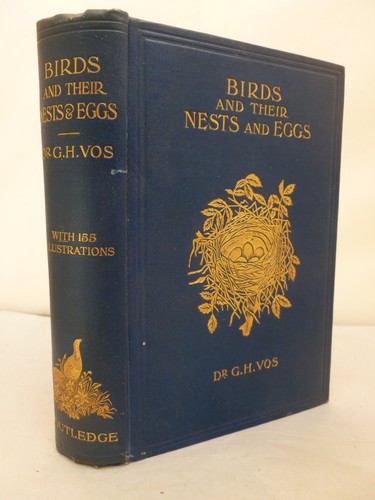 Birds and their - their, nests