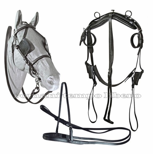 Complete harness for carriage - harness,