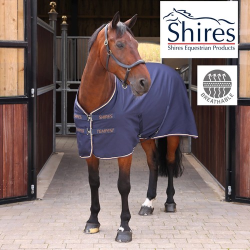 Shires tempest stable sheet - tempest,