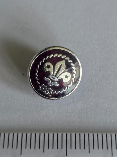 Vintage scout lapel - vintage, pin