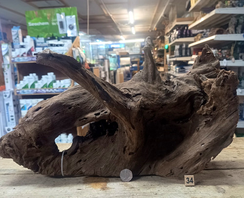 Large mangrove 54cm root - large,