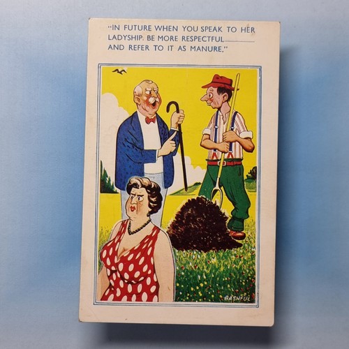 Comic postcard c1965 ladyship - comic,