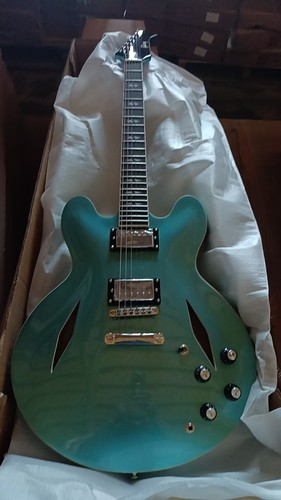 335 semi hollow electric - dg-335, semi-hollow