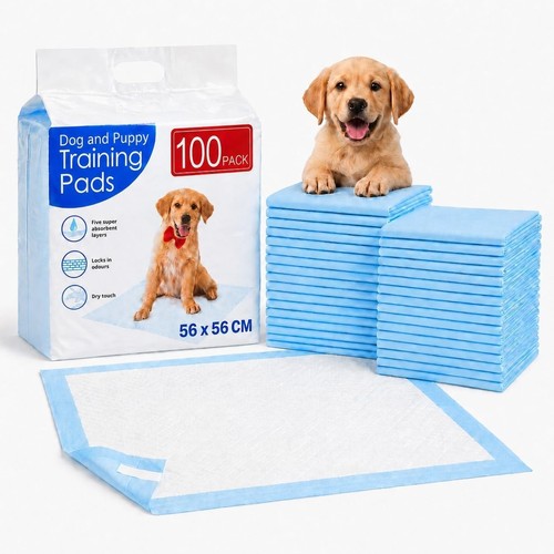 100 large puppy training - puppy,