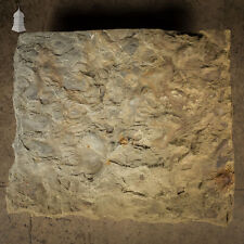Garden Slab Stone Step, Large Riven Flagstone [No. 3]