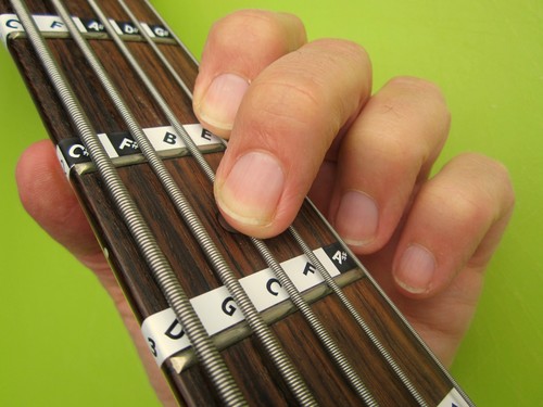 String bass guitar left - 5-string, (left