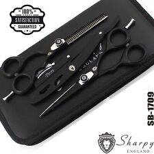 Hair Cutting Thinning Scissors