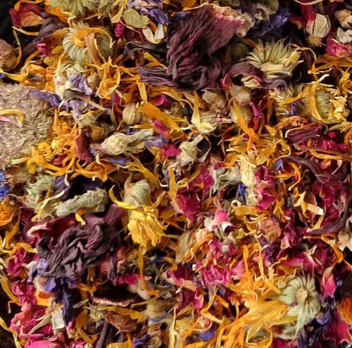 Lakeland forage mixed - lakeland,