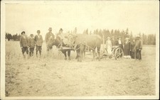 RPPC oxen drawn mowing machine