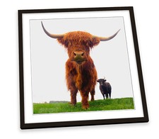 Highland Cow Cattle Horns Brown FRAMED ART PRINT Picture Square Artwork