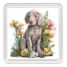 Weimaraner Puppy & Flowers Dog