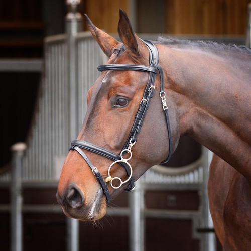 Shires velociti rapida - shires,