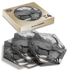 4 x Hexagon Coasters - BW -