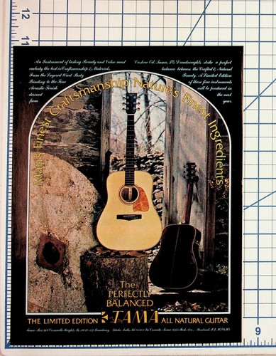 Vintage tama dreadnought - vintage,