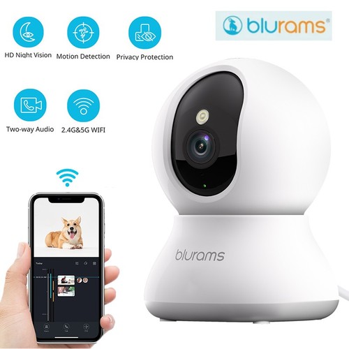 Blurams wifi security - wifi, camera