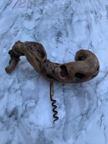 Vintage vine grape root - vine,