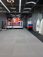 Martial Arts Floor Mats 20mm 40mm Thick Karate Judo Kick Boxing Gym MMA