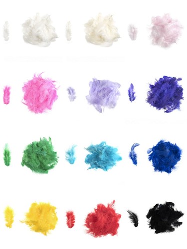 Craft feathers fluffy - feathers, hen