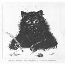 LOUIS WAIN Charlie The Persian Cat of the Palace Theatre - Antique Print 1901
