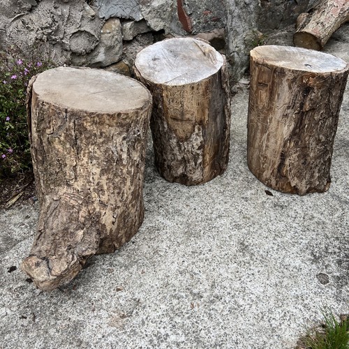 Mixed ash wood - log, &
