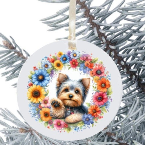 Yorkshire terrier dog hanging - yorkshire,