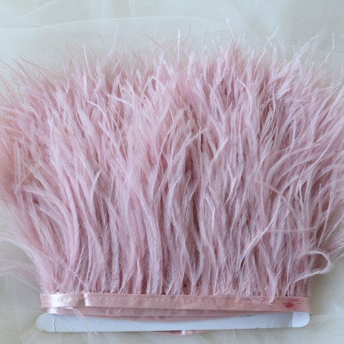Quality ostrich feather - quality,
