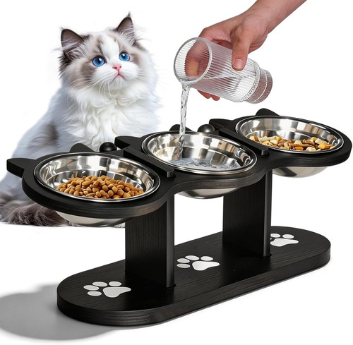Cat dog food feeding - dog,