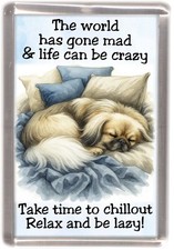 Tibetan Spaniel / Tibbie Dog