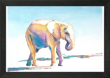 Elephant painting colorful