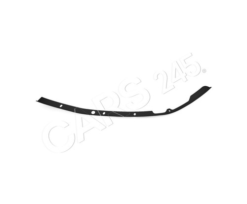 Bumper moulding front left - front,