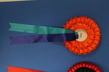 Rosettes Orange  with  tassels.Add your own centre print in packs of 3