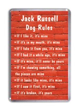 Jack Russell Dog Rules, Funny