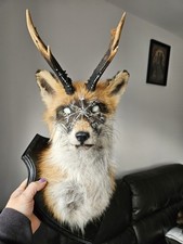 Fox Head Taxidermy Demon Alex Taxidermy Antlers Gothic