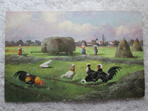 Antique farm scene - antique, chickens