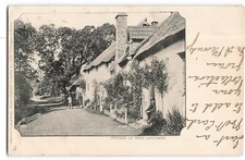 1901 undivided back West