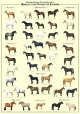 Farmers Weekly Magazine Equine